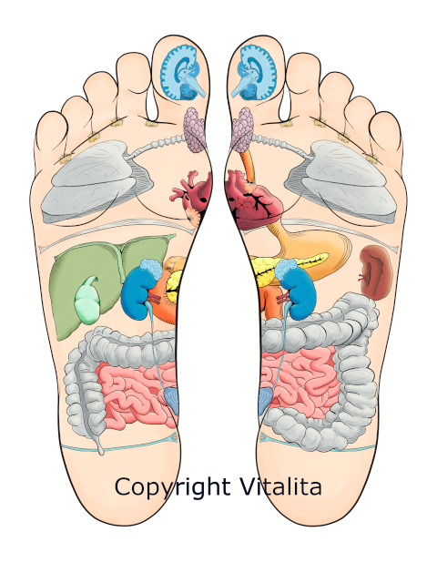 Voorbeeld van een voetkaart
